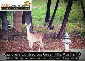 Ace Concrete Contractors Austin 9122 Balcones Club Dr #15 Austin, TX 78750 (512) 566-7530 https://aceconcretecontractorsaustin.com/ https://goo.gl/maps/3ydWcHmeEL3A6meB8 https://www.google.com/maps?cid=1431544483646247035